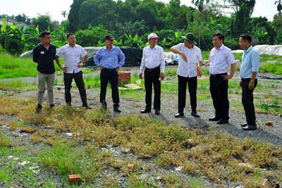 Bình Dương: Lễ Hội Mùa Trái Chín 2024 – Sẵn Sàng Bùng Nổ