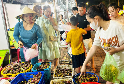 Lễ hội Mùa Trái Chín 2024: Bùng nổ Sắc Màu, Hấp Dẫn Khôn Lường